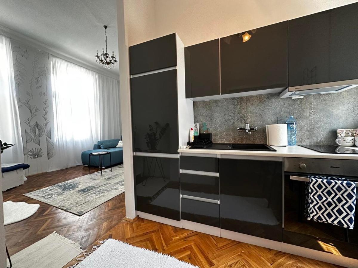 Pure Of Joy City Centre Apartment سوبوتيتْسا المظهر الخارجي الصورة